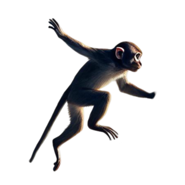 Jumping Monkey